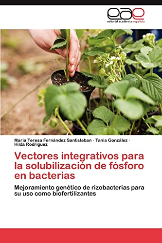 Vectores integrativos para la solubilización de fósforo en bacterias: Mejoramiento genético de rizobacterias para su uso como biofertilizantes