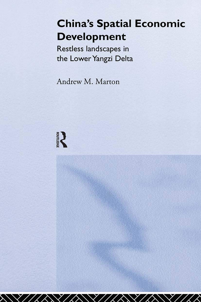 China's Spatial Economic Development: Regional Transformation in the Lower Yangzi Delta (Routledge Studies--China in Transition, 8.)