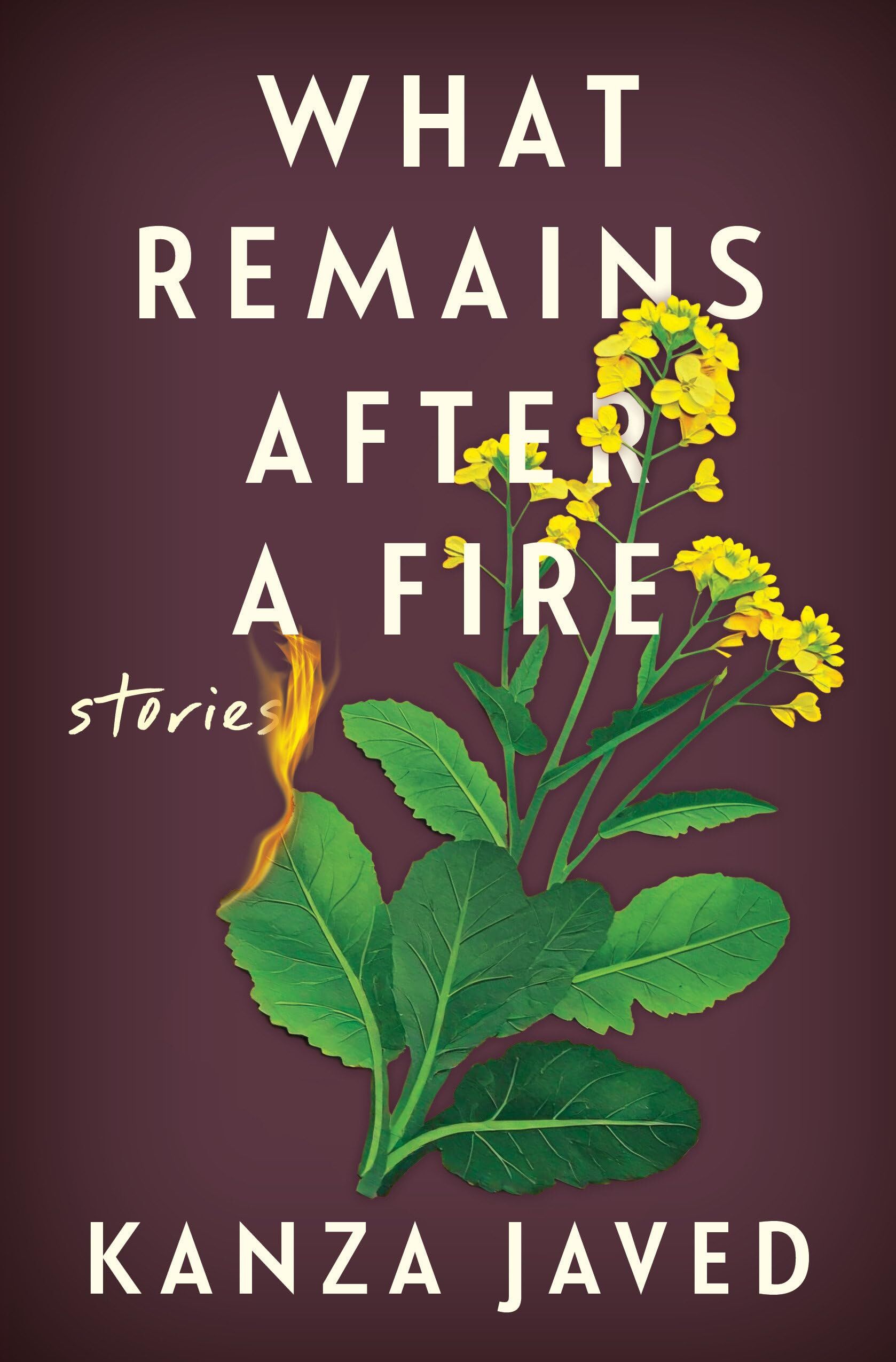 What Remains After a Fire - Neuware