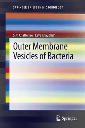 Chatterjee, S. N. Outer Membrane Vesicles Of Bacteria (Springer Briefs In Microbiology)