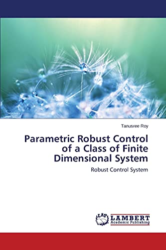 Parametric Robust Control of a Class of Finite Dimensional System: Robust Control System