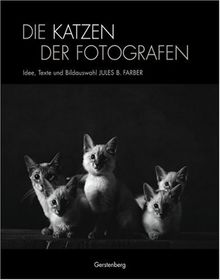 Die Katzen der Fotografen