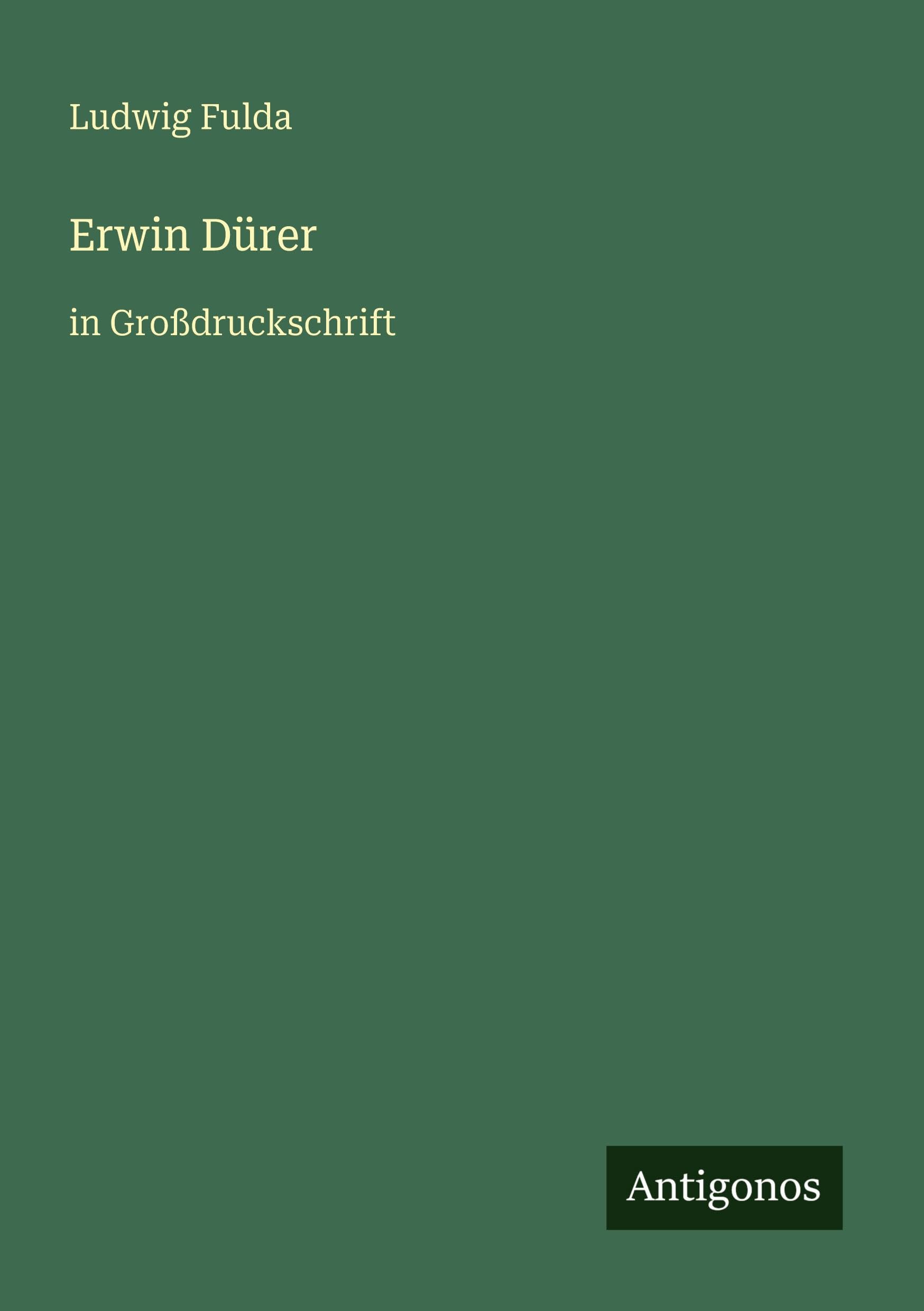 Erwin Dürer: in Großdruckschrift