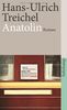 Anatolin: Roman (suhrkamp taschenbuch)