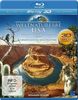 Weltnaturerbe USA 3D - Grand Canyon Nationalpark (+ 2D Version) [Blu-ray 3D]