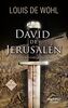 David de Jerusalén: El conquistador del reino (Arcaduz, Band 101)