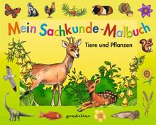 Mein Sachkunde-Malbuch Tiere und Pflanzen (grün)