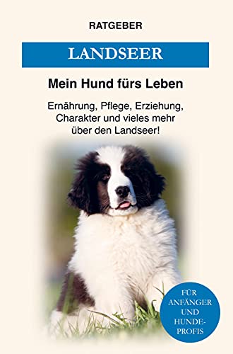 Landseer: Pflege, Erziehung, Charakter, Ernährung und einiges mehr über den Landseer Hund