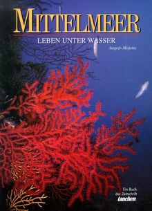 Mittelmeer. Leben unter Wasser