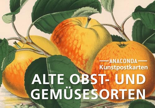 Die Buchhandlung in Oelde hat das Buch Postkarten-Set Alte Obst- und Gemüsesorten: 18 Kunstpostkarten aus hochwertigem Karton. ca. 0,28€ pro Karte (Anaconda Postkarten, Band 84)