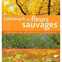 L'almanach des fleurs sauvages : 4 saisons de découvertes végétales