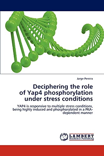 Deciphering the role of Yap4 phosphorylation under stress conditions: YAP4 is responsive to multiple stress conditions, being highly induced and phosphorylated in a PKA-dependent manner