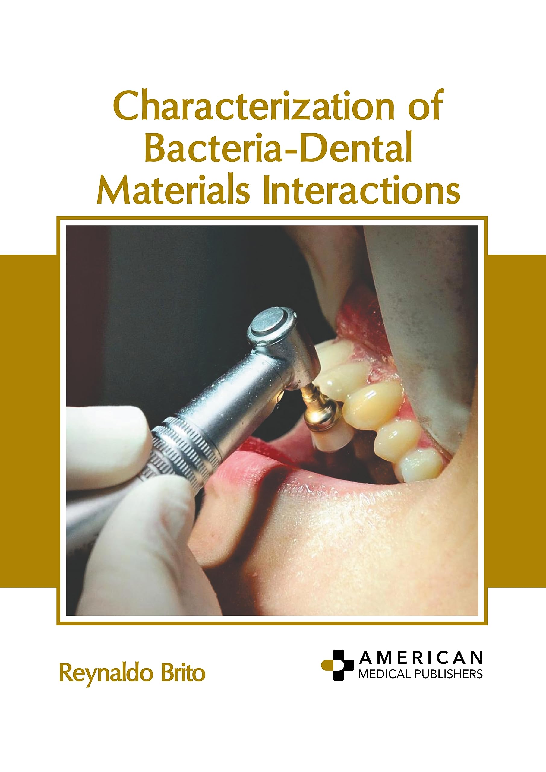 Characterization of Bacteria-Dental Materials Interactions