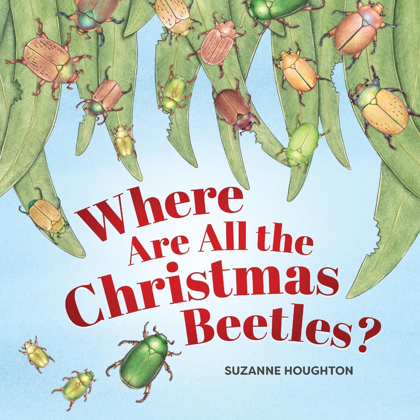 Where Are All the Christmas Beetles?