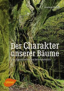 Der Charakter unserer Bäume: Ihre Eigenschaften und Besonderheiten