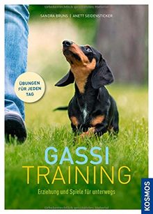 Gassi-Training: Erziehung und Spiele für unterwegs