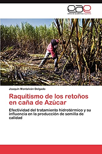 Raquitismo de los retoños en caña de Azúcar: Efectividad del tratamiento hidrotérmico y su influencia en la producción de semilla de calidad