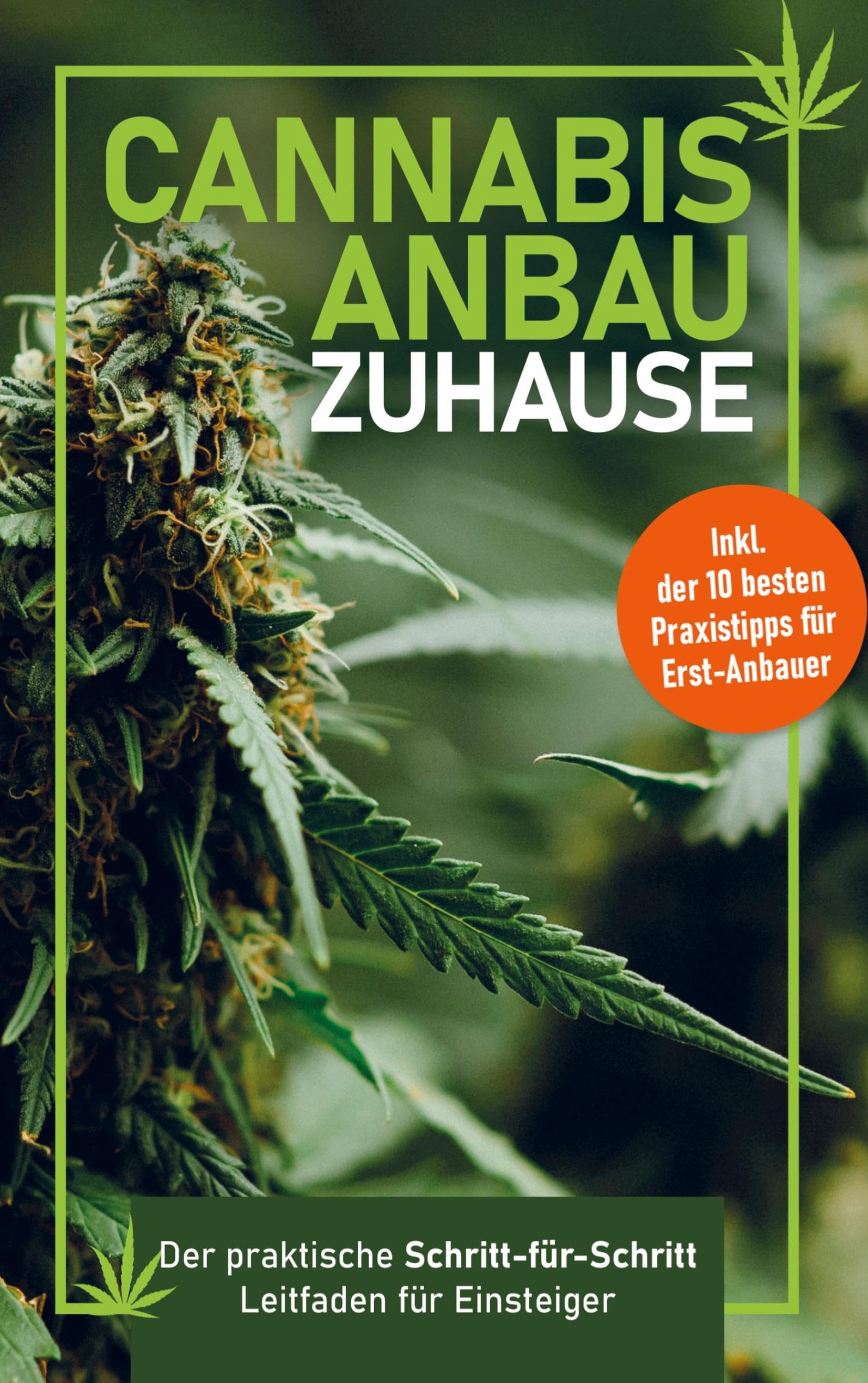 Cannabis-Anbau zu Hause: Der praktische Schritt-für Schritt- Leitfaden für Einsteiger - Fehler vermeiden, Ernte maximieren - Inklusive der 10 besten Praxistipps für Erst-Anbau