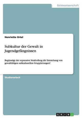 Subkultur der Gewalt in Jugendgefängnissen: Begünstigt der repressive Strafvollzug die Entstehung von gewalttätigen subkulturellen Gruppierungen?