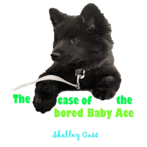 The Case of the Bored Baby Ace: Book Two in the Sleep Sweet Series