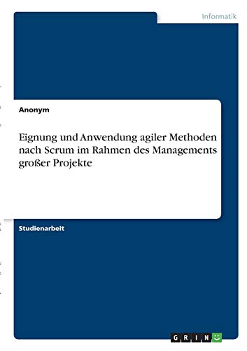 Eignung und Anwendung agiler Methoden nach Scrum im Rahmen des Managements großer Projekte