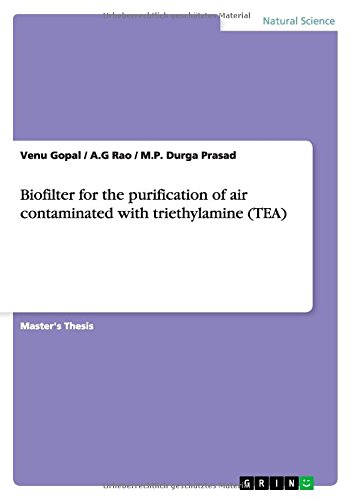Biofilter for the purification of air contaminated with triethylamine (TEA)