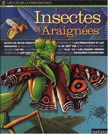 Insectes et araignées