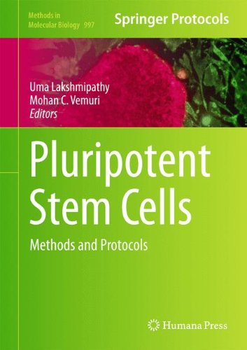 Pluripotent Stem Cells: Methods and Protocols (Methods in Molecular Biology)