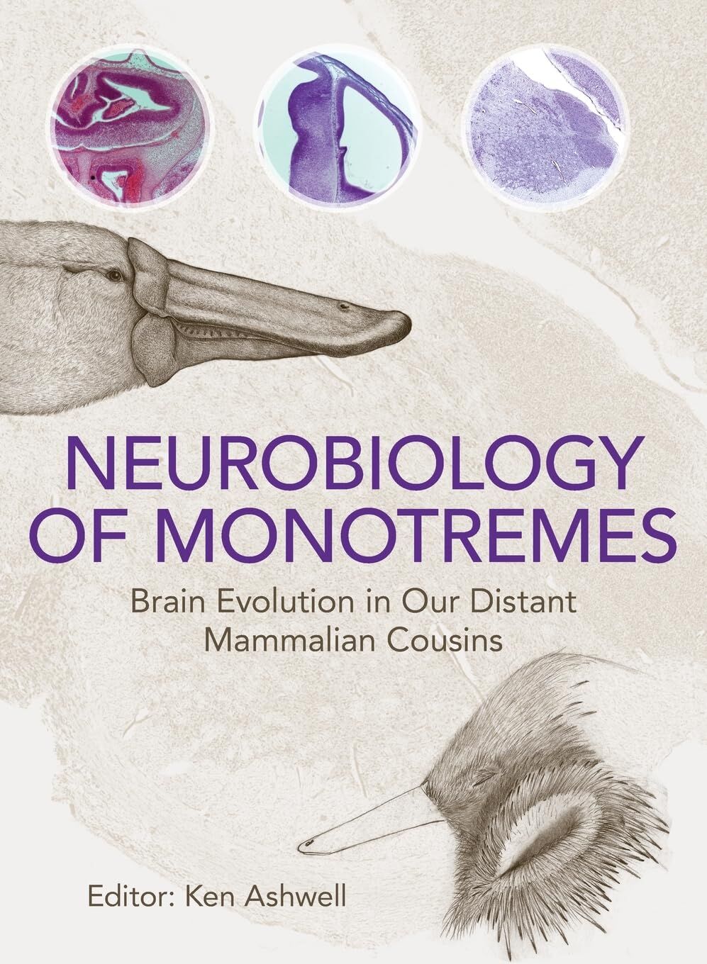 Neurobiology of Monotremes