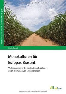 Monokulturen für Europas Biosprit: Veränderungen in der Landnutzung Brasiliens durch den Anbau von Energiepflanzen (HSN)