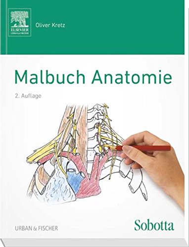 Sobotta Malbuch Anatomie von Oliver Kretz - Taschenbuch