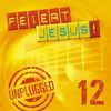 Feiert Jesus! 12: Unplugged