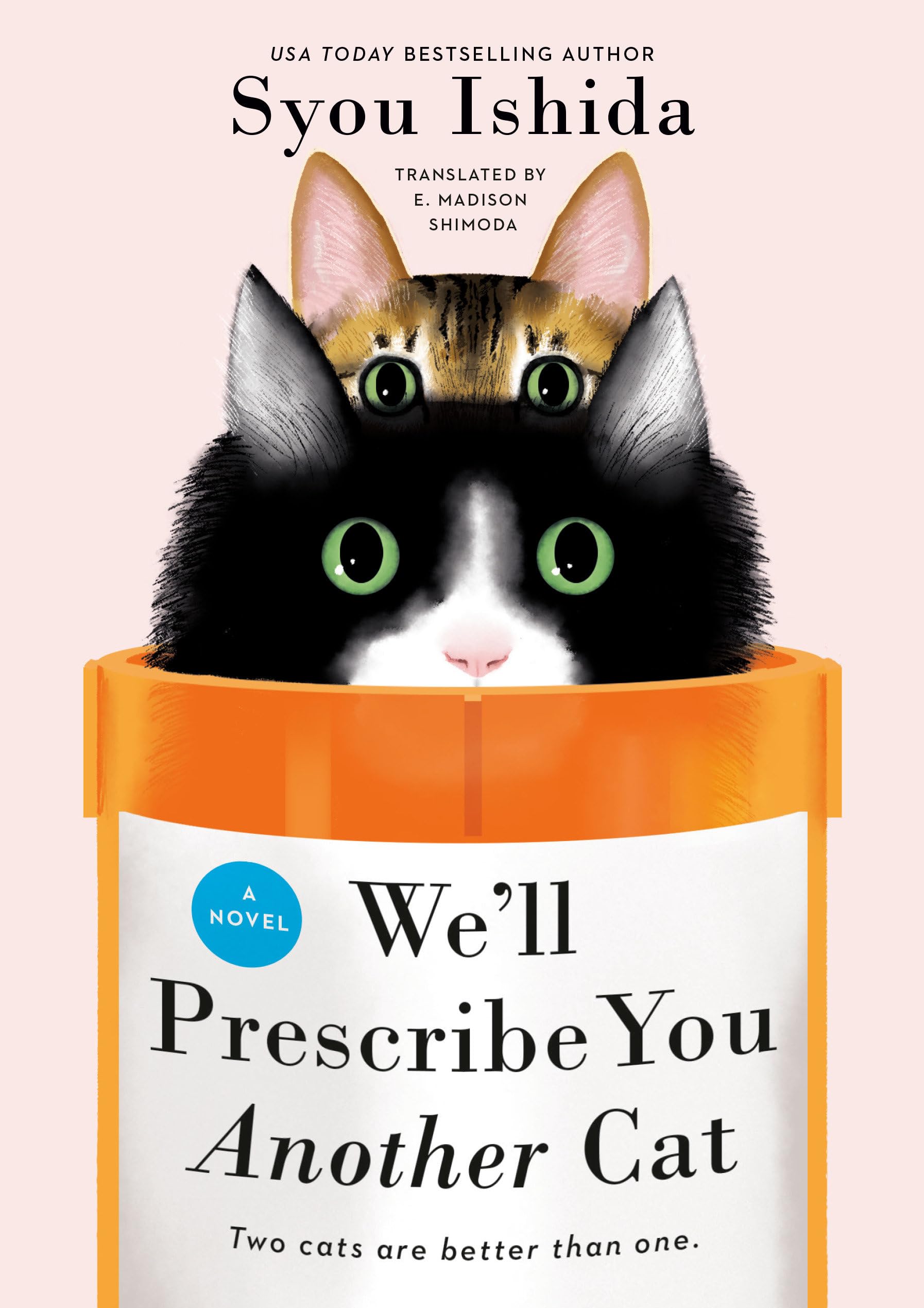 Syou Ishida We'll Prescribe You Another Cat
