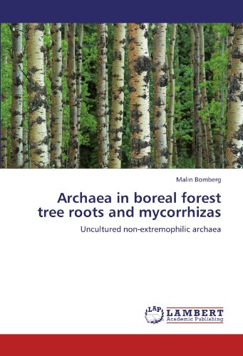 Archaea in boreal forest tree roots and mycorrhizas: Uncultured non-extremophilic archaea