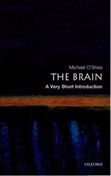 Brain: A Very Short Introduction (Very Short Introductions)