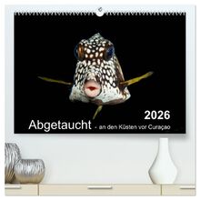 Abgetaucht - an den Küsten vor Curaçao (hochwertiger Premium Wandkalender 2026 DIN A2 quer), Kunstdruck in Hochglanz: Magische Momentaufnahmen der ... vor Curaçao! (CALVENDO Natur)