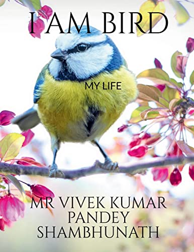I AM BIRD