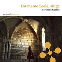 Du meine Seele, singe: Berühmte Choräle