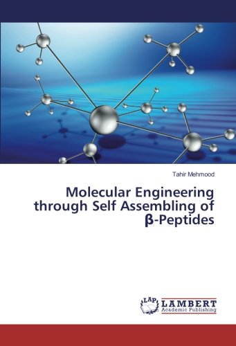 Molecular Engineering through Self Assembling of β-Peptides