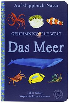 Aufklappbuch Natur - Geheimnisvolle Welt: Das Meer