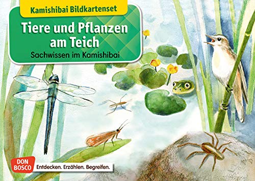 Sachwissen für das Kamishibai   Tiere und Pflanzen am Teich Kamishibai Bildkartenset - Katharina Stöckl-Bauer Box