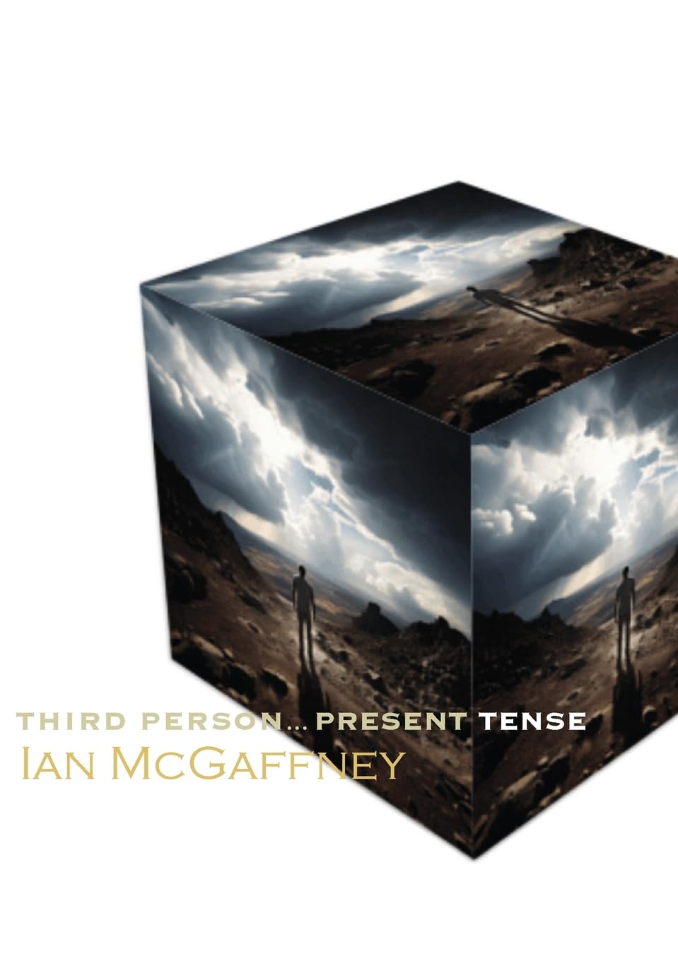 Third Person...Present Tense