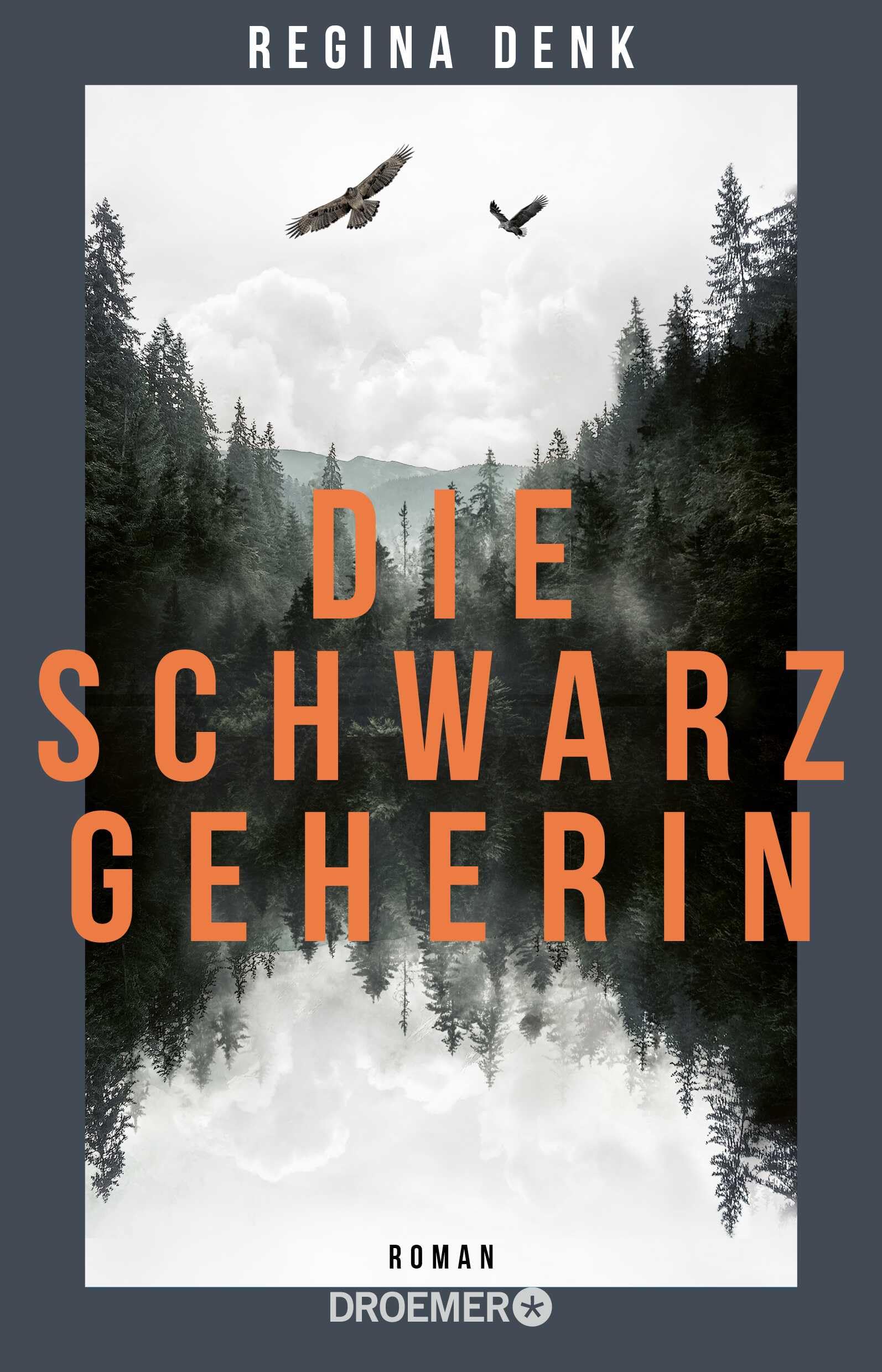 Denk, Regina: Die Schwarzgeherin