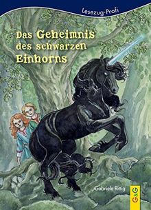 LESEZUG/ Profi: Das Geheimnis des schwarzen Einhorns