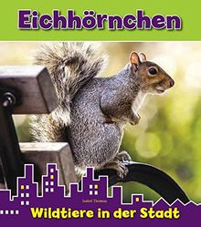 Eichhörnchen, Wildtiere in der Stadt