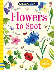 Smith, S: Flowers to Spot (Usborne Minis)