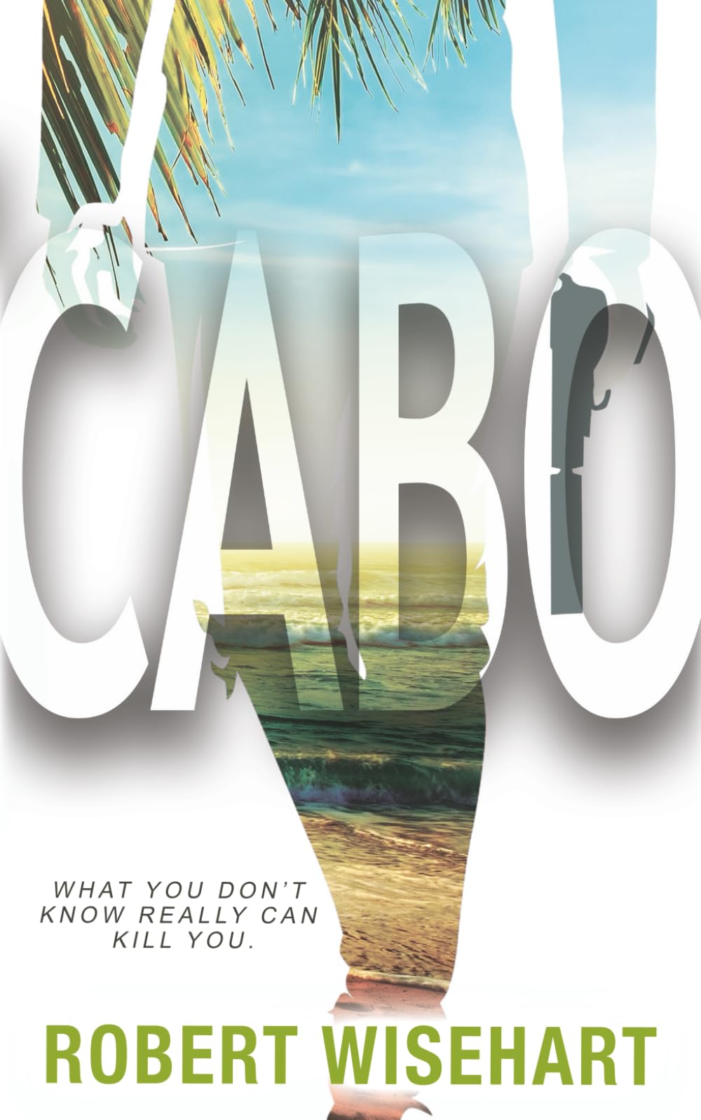 Cabo: A PI Series