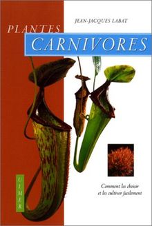 Plantes carnivores : comment les choisir et les cultiver facilement