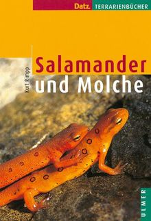 Salamander und Molche