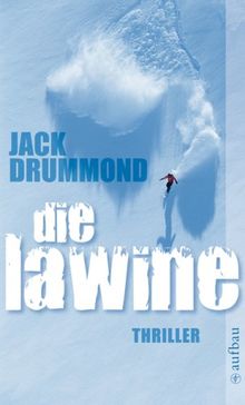 Die Lawine: Thriller